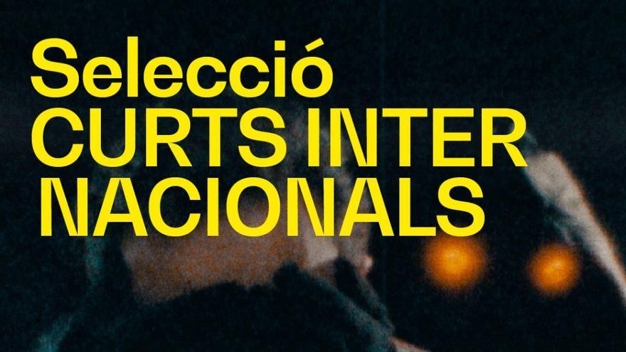 IBZCF: Selecció Curts Internacionals