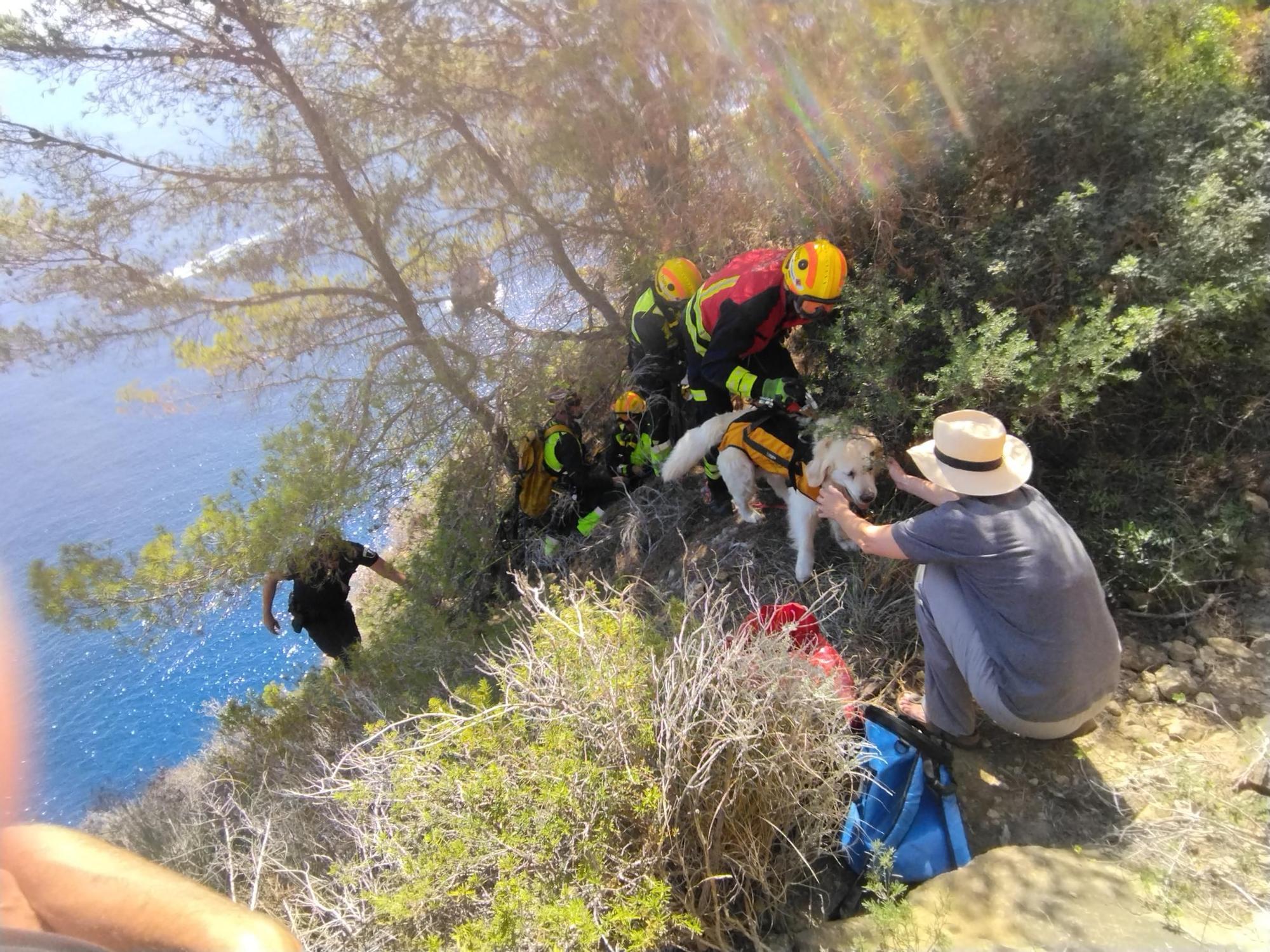 Las imágenes del rescate del perro que ha caído de 30 metros en el acantilado de Xàbia
