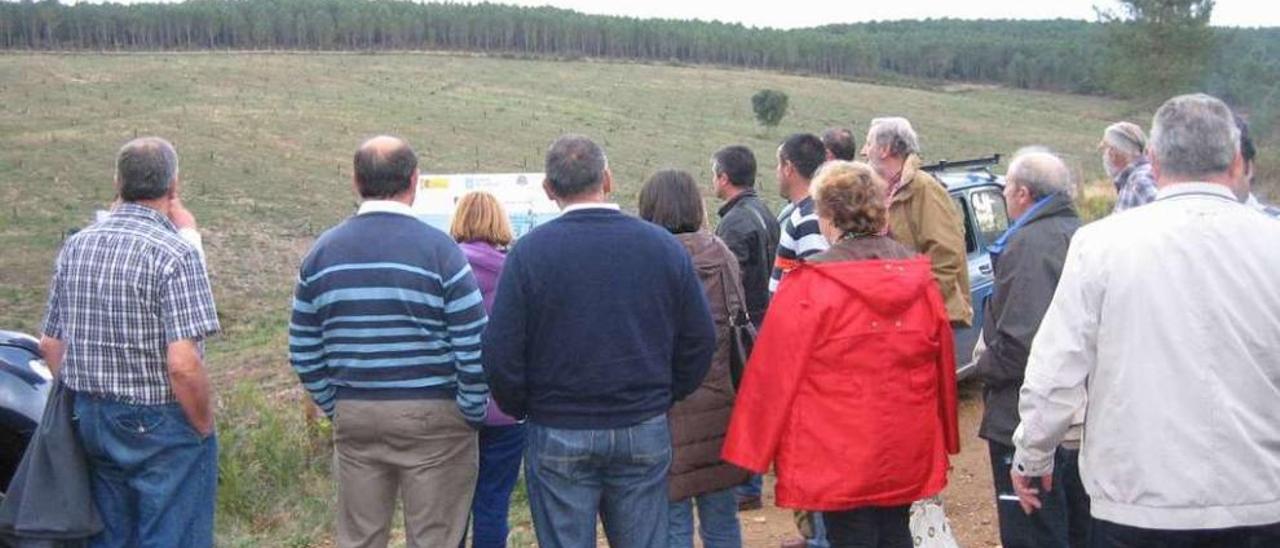 Algunos de los asistentes al viaje, en una de las fincas de castaños visitadas.