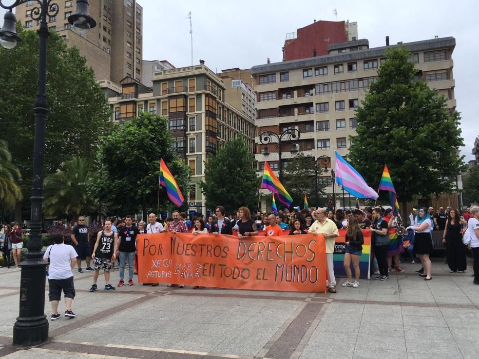 Manifestación del Orgullín del Norte.