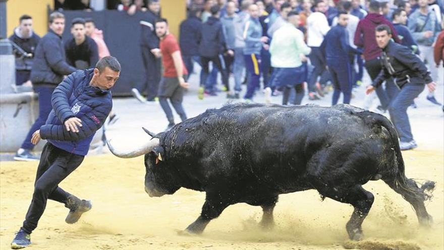 Castellón arranca la temporada taurina con otro récord de festejos