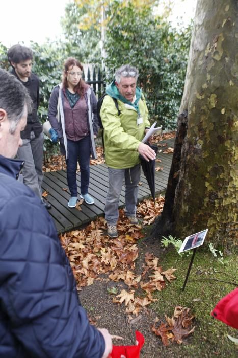 Recorrido micológico por el Jardín Botánico Atlántico