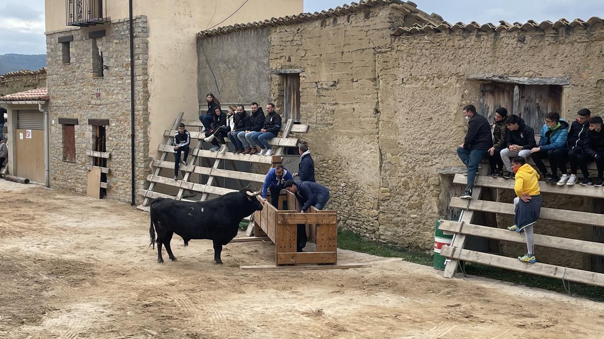 Una pequeña calle del pueblo es el escenario escogido para adaptarla como recinto taurino.