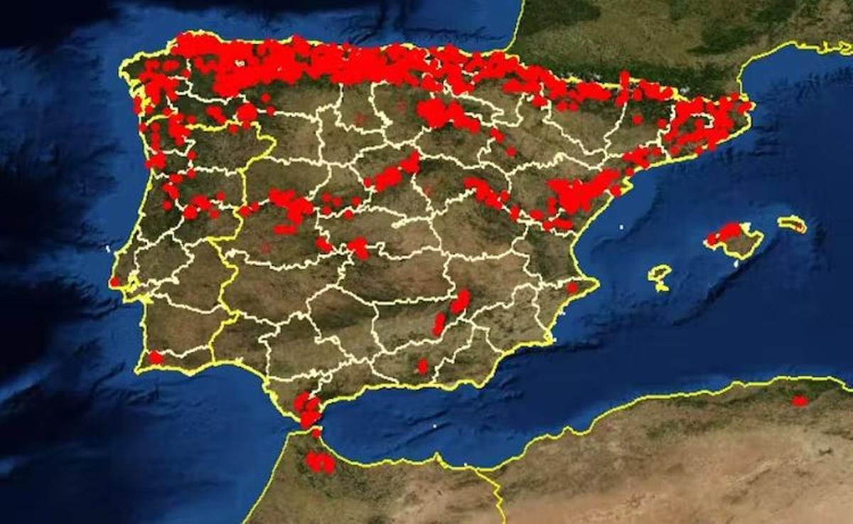 Distribución de la especie en España
