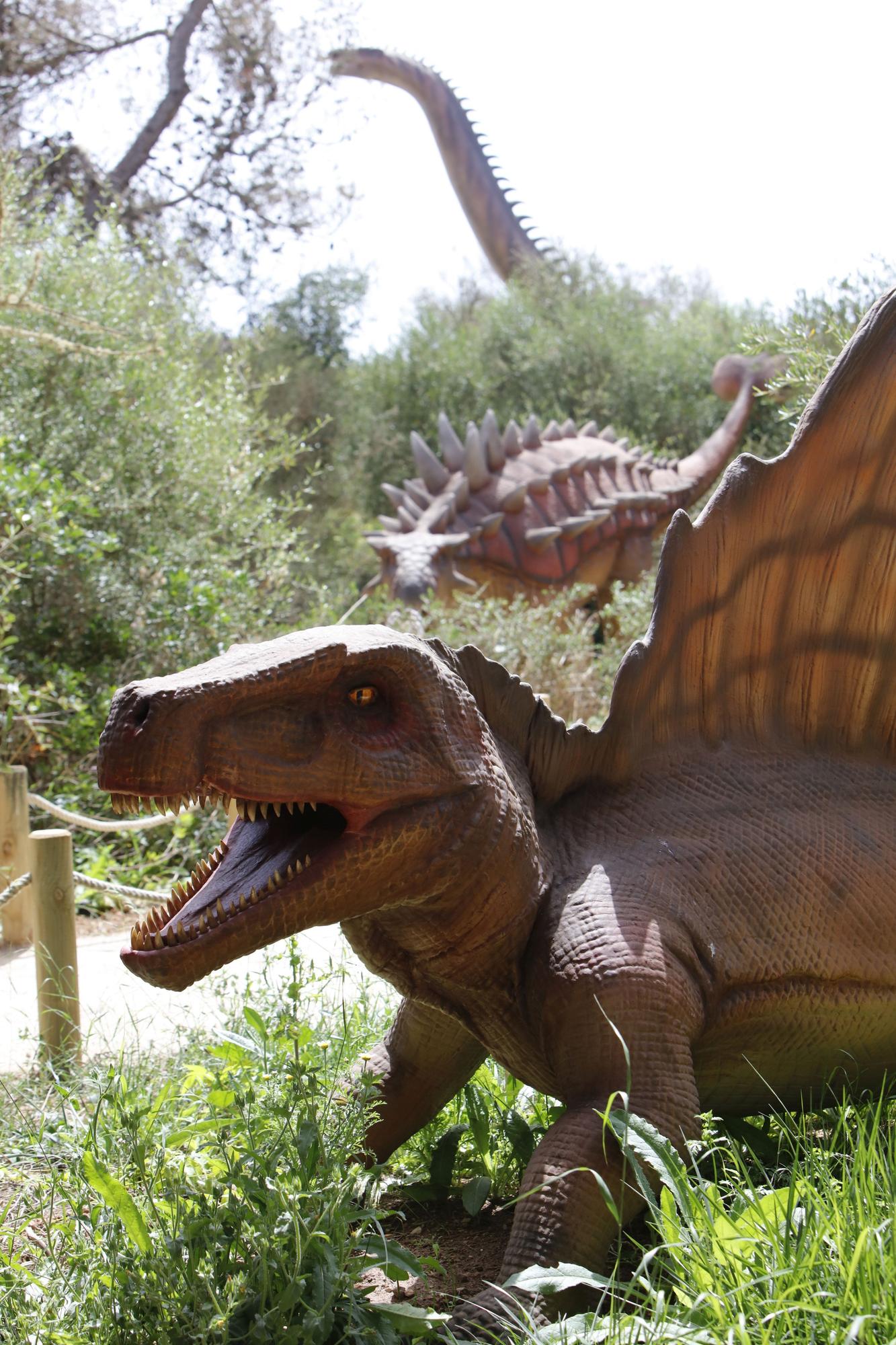 Besuch im neuen Dino-Park auf Mallorca