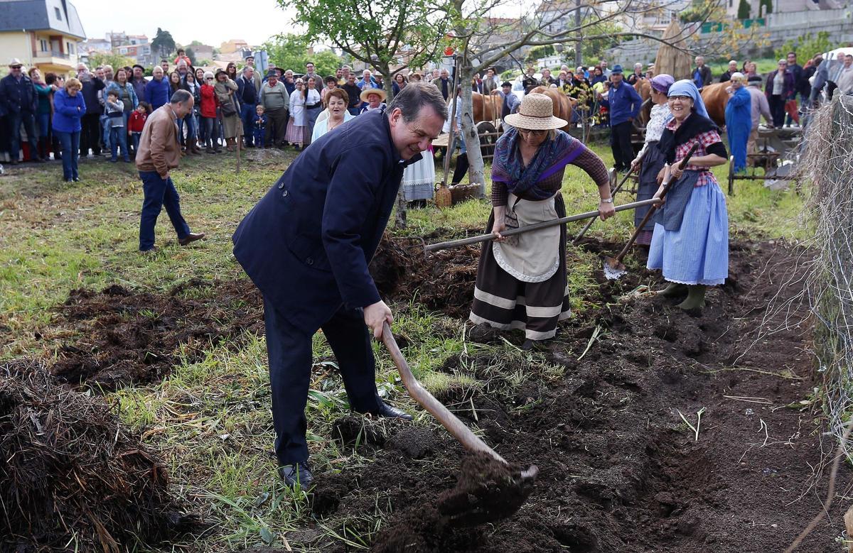 IV Festa da Sementeira (2015), en Matamá.