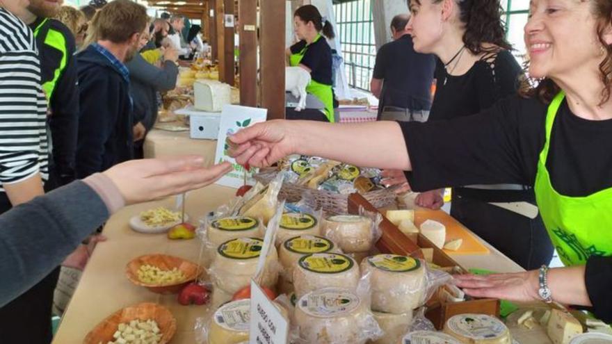 Feria del Queso de Taramundi. | R. D. Á.