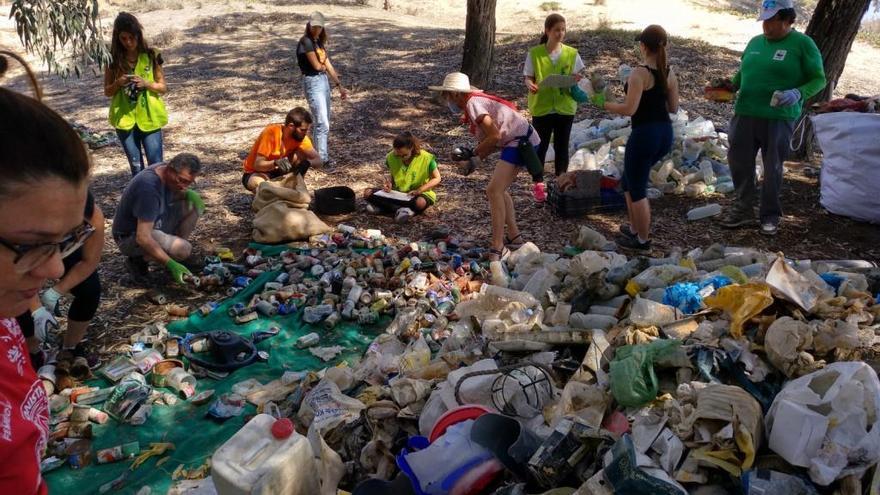 Grupos ecologistas recogen 4 toneladas de basura en la desembocadura del Segura en Guardamar