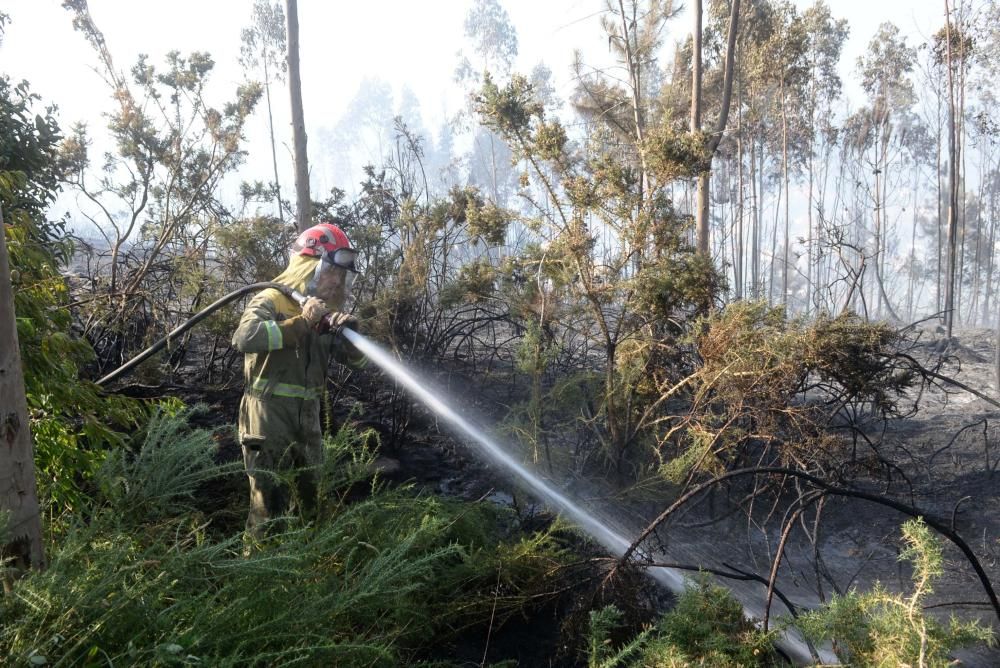 Incendios forestales en Vilagarcía y Catoira