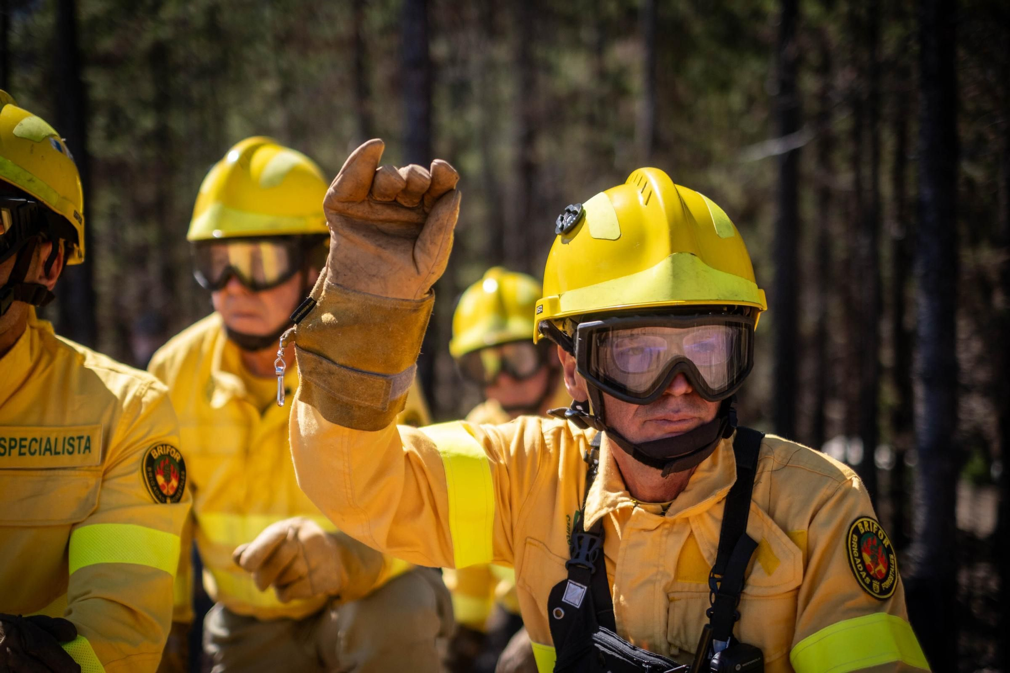 Reunión del Operativo de Incendios forestales en Montaña Bermeja, en Tenerife. 