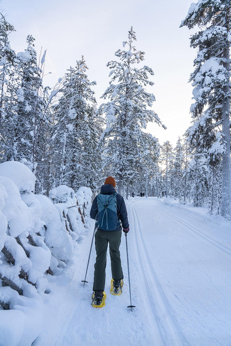 Caminatas con raquetas de nieve.