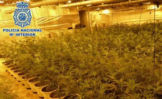 Secuestro y torturas en Sayalonga: quemaduras con una espada al rojo vivo e ingesta de estiércol y coca