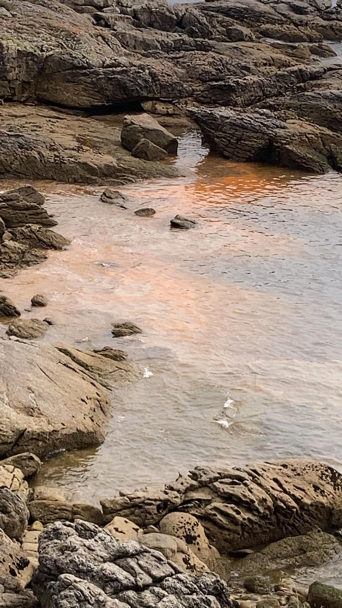 Mar teñido de naranja por descomposición de algas en Liméns.