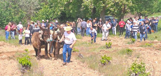 GALERÍA | Paseo en burro por los Arribes del Duero