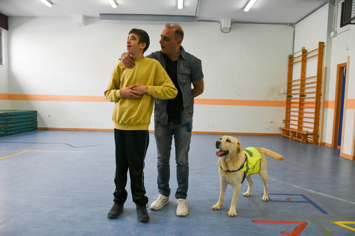 Terapia con perros en el colegio Virgen del Castillo de Zamora