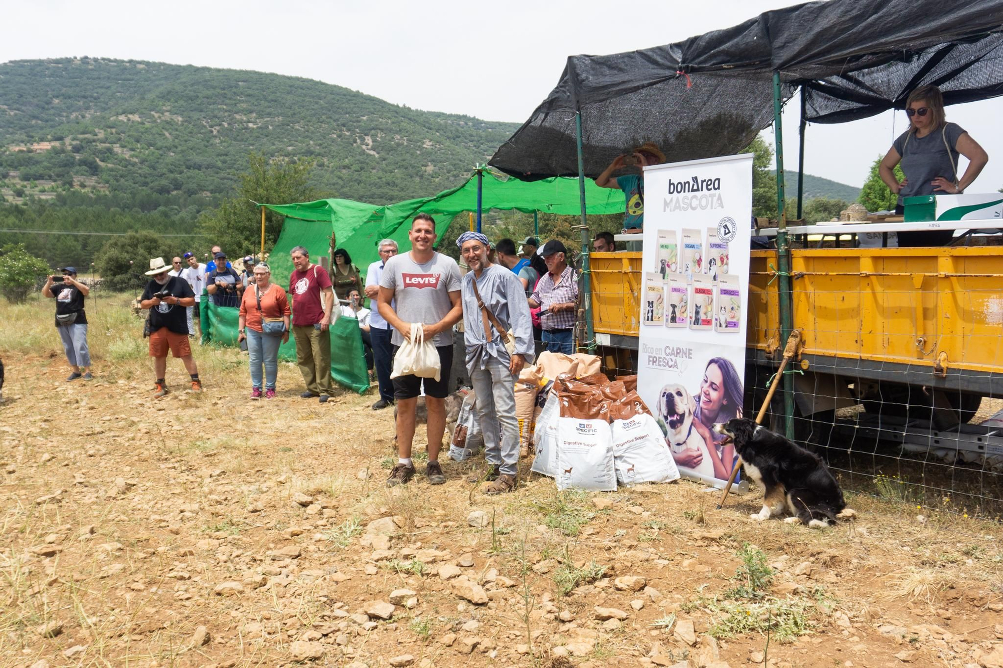 FOTOGALERÍA: Las imágenes del concurso de perros pastores de Ares del Maestrat
