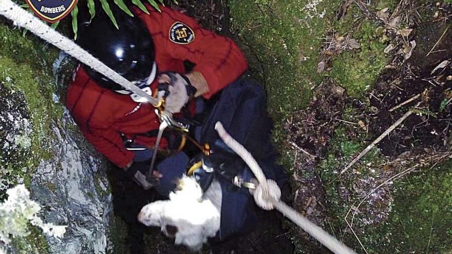 Rescate del perro que había caído en un pozo en la Serra d&#039;Alfàbia.