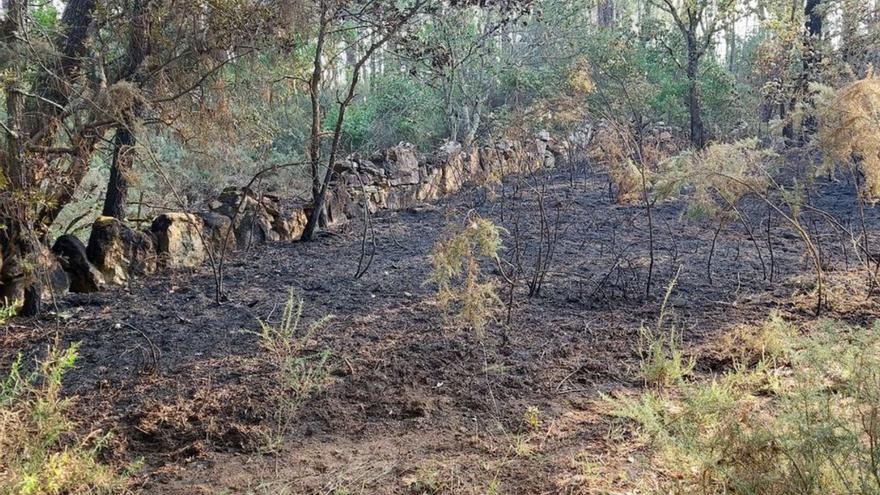 La zona de Seixalbo quemada presuntamente por el investigado.  | // FDV
