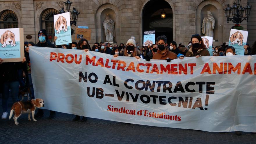 Centenars de persones reclamen la suspensió de l&#039;experiment de la UB amb Vivotecnia i l&#039;alliberament dels cadells