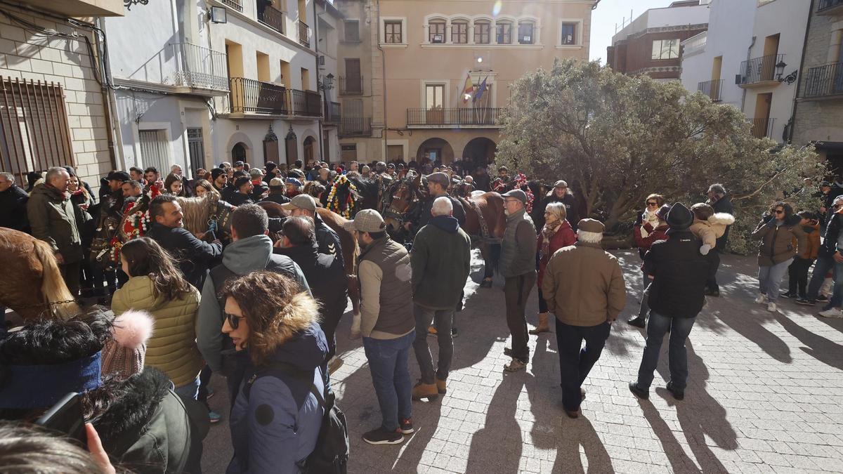 'La Panderola' dará a conocer los preparativos del Sant Antoni de Albocàsser