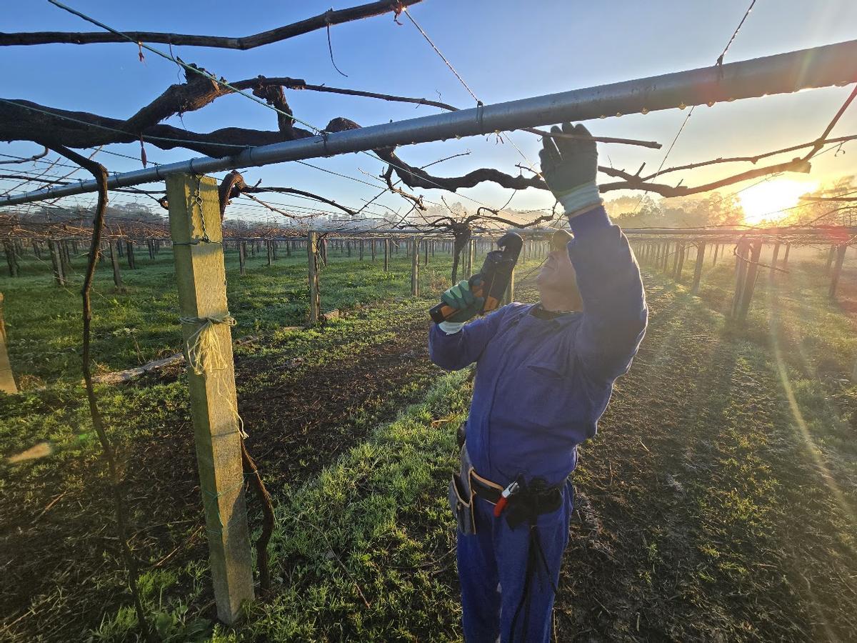 Un viticultor trabajando desde la salida del sol, soportando temperaturas gélidas a orillas del Umia.