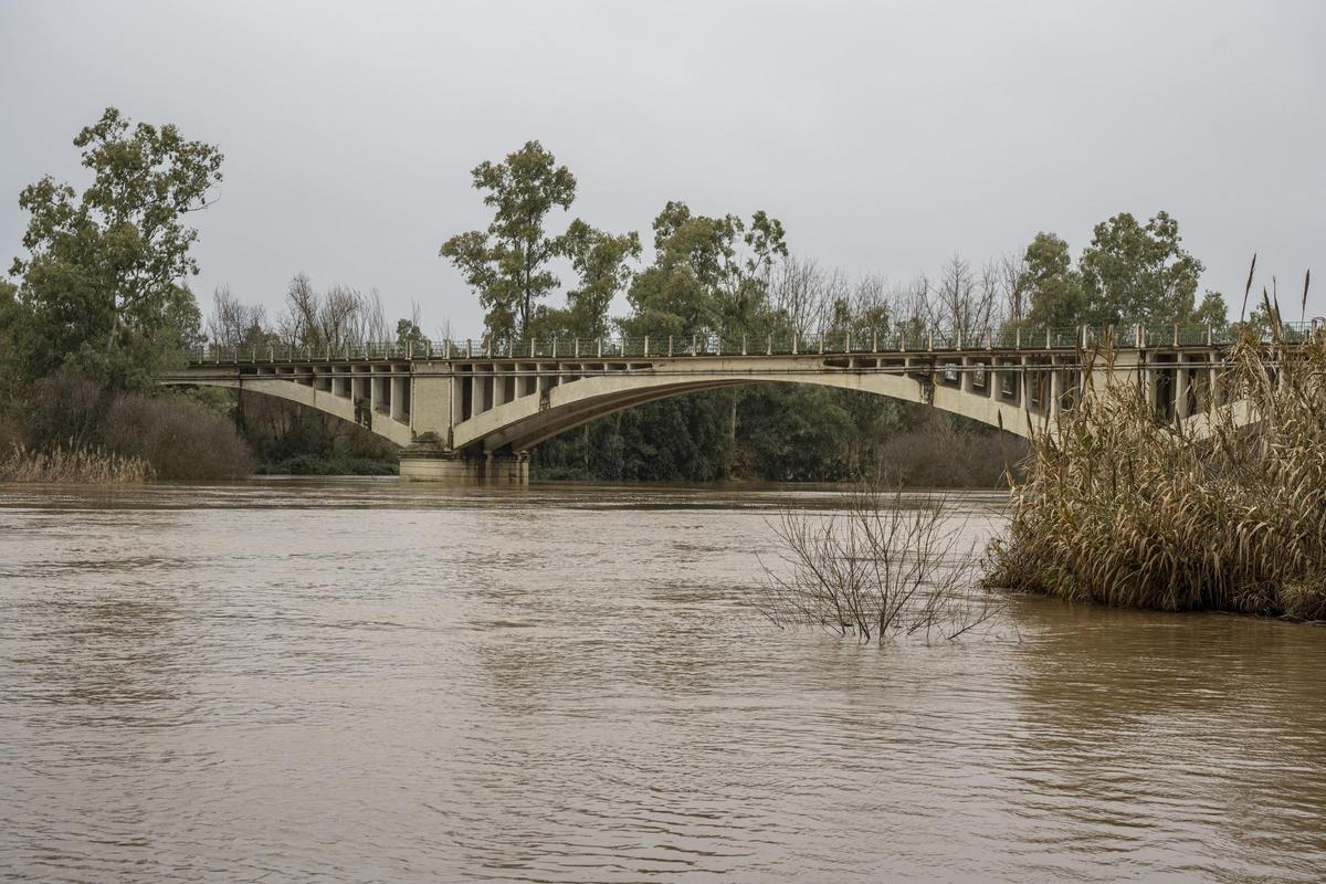 Puente sobre el Guadiana por Lobón.