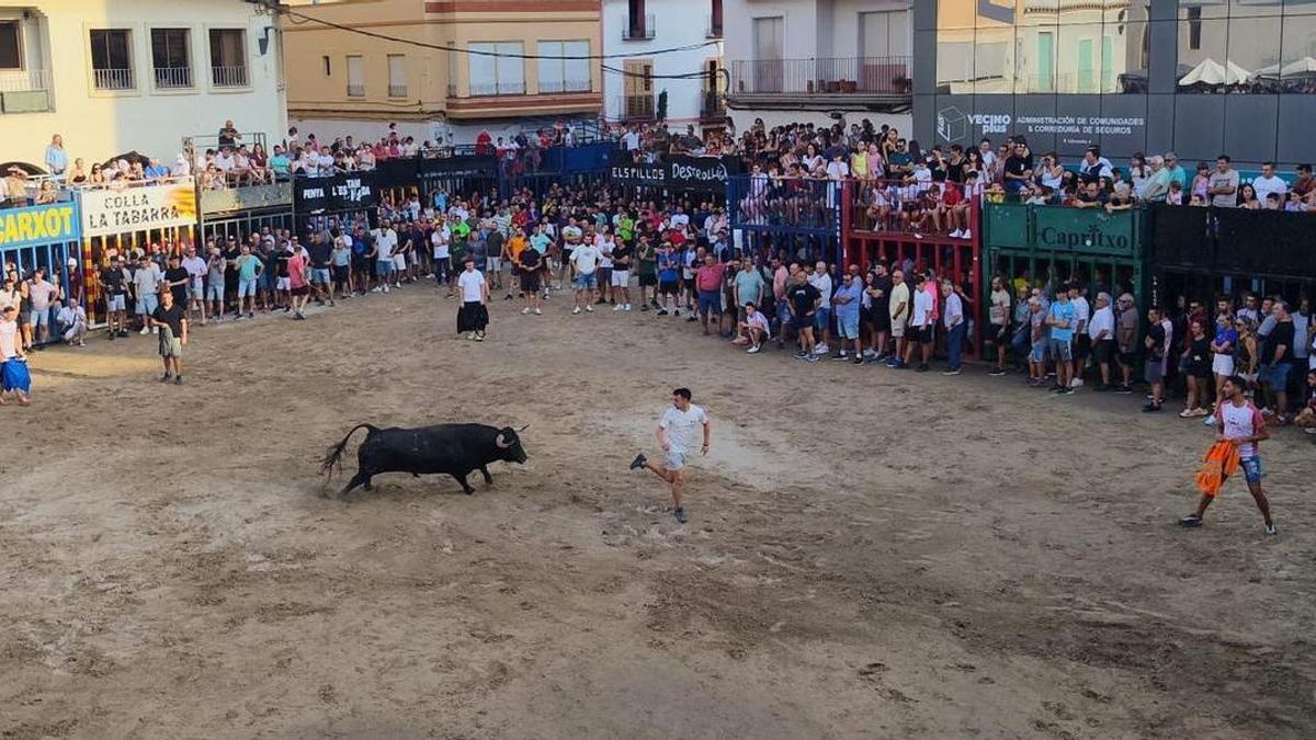 Cientos de aficionados y vecinos en general han asistido a la última tarde taurina de las fiestas de Santa María Magdalena de Moncofa.