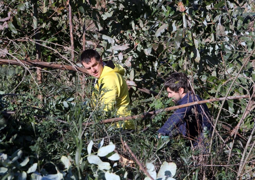 La Comunidad de Montes de Coruxo, que, en colaboración con las brigadas deseucaliptizadoras de Verdegaia, organizaron una jornada de voluntariado para liberar de eucaliptos el regato de O Pontón.