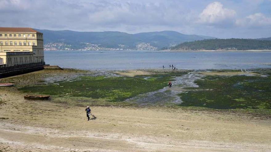 Vista de la ría desde la playa de Placeres. // Gustavo Santos