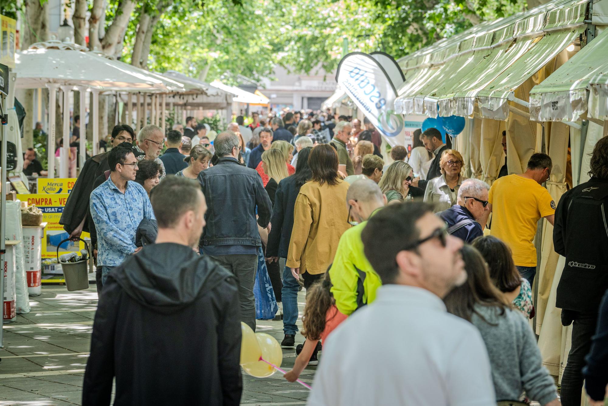 Les imatges de l'ExpoBages 2024 de dissabte 