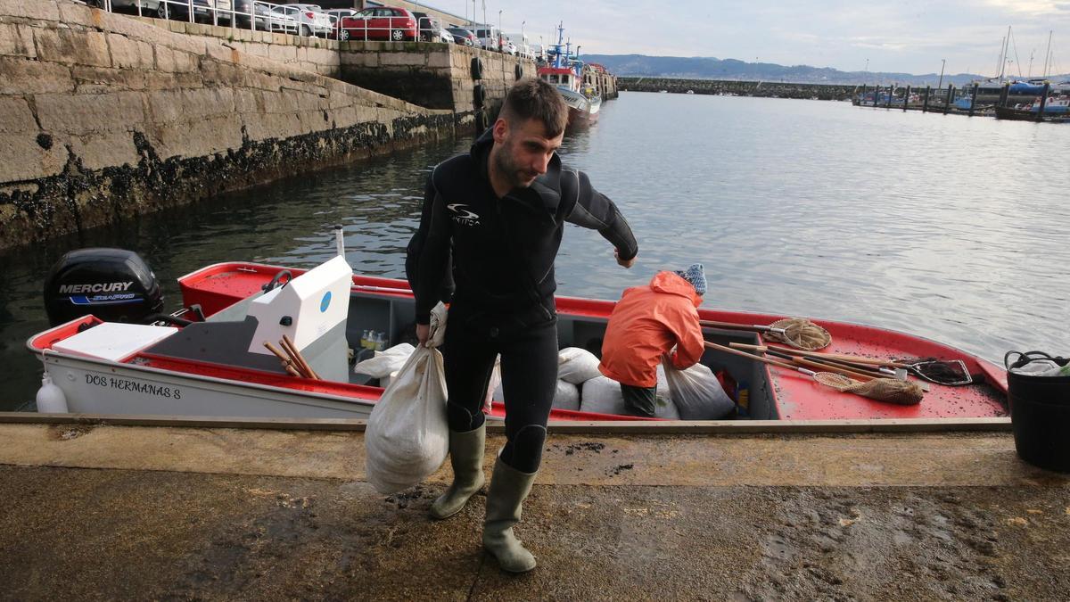 Llegada de mejilla al puerto de Cangas.