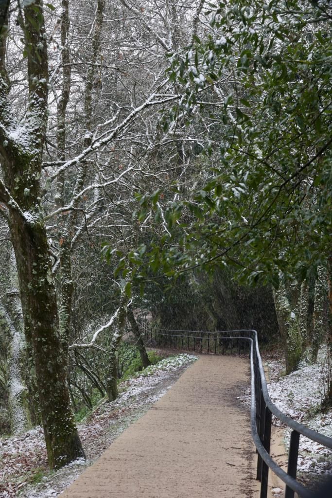 EN IMÁGENES: La borrasca Juliette lleva la nieve casi hasta la costa en Asturias