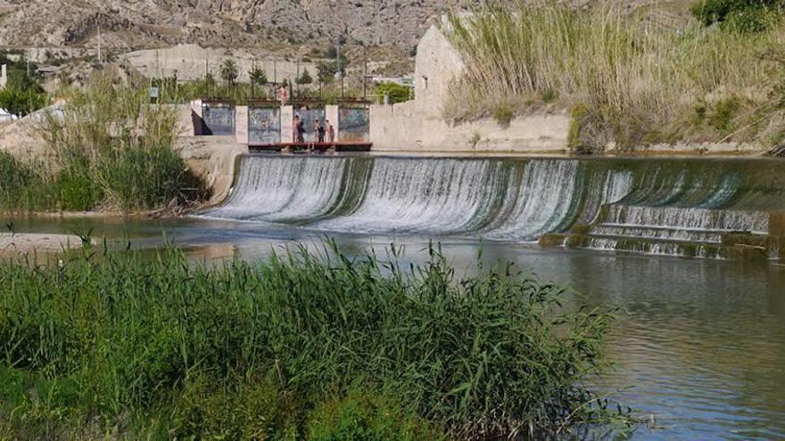 Parque de El Jarral: las ventajas de un baño con garantías de seguridad