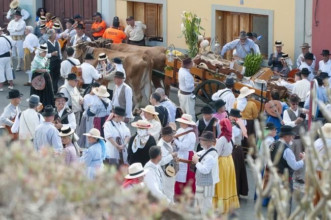 18/06/2016 ARUCAS . Romeria de ARUCAS. Foto: SABRINA CEBALLOS