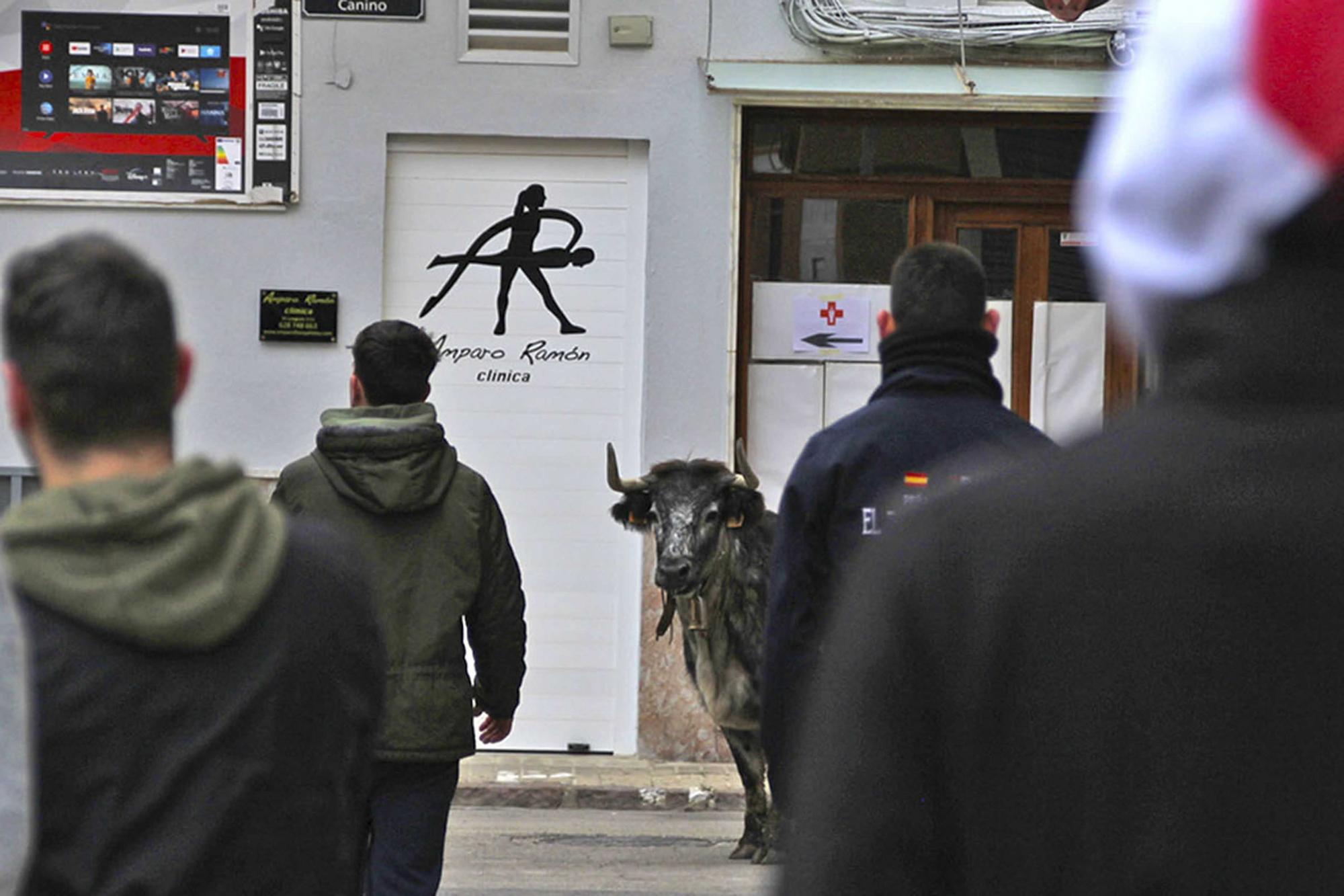 Actos taurinos por Sant Antoni en Sagunt