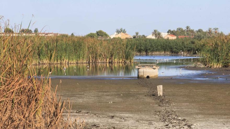 El Plan del Júcar no consigue atajar el deterioro en ríos, lagos y acuíferos