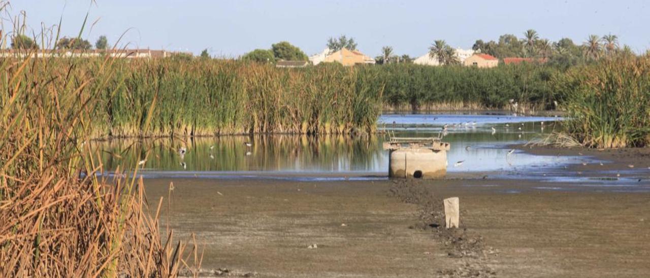 El Plan del Júcar no consigue atajar el deterioro en ríos, lagos y acuíferos