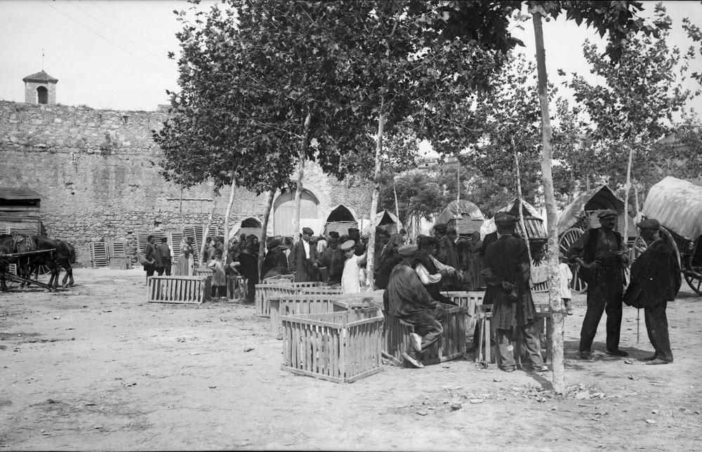 «Mercat del bestiar»