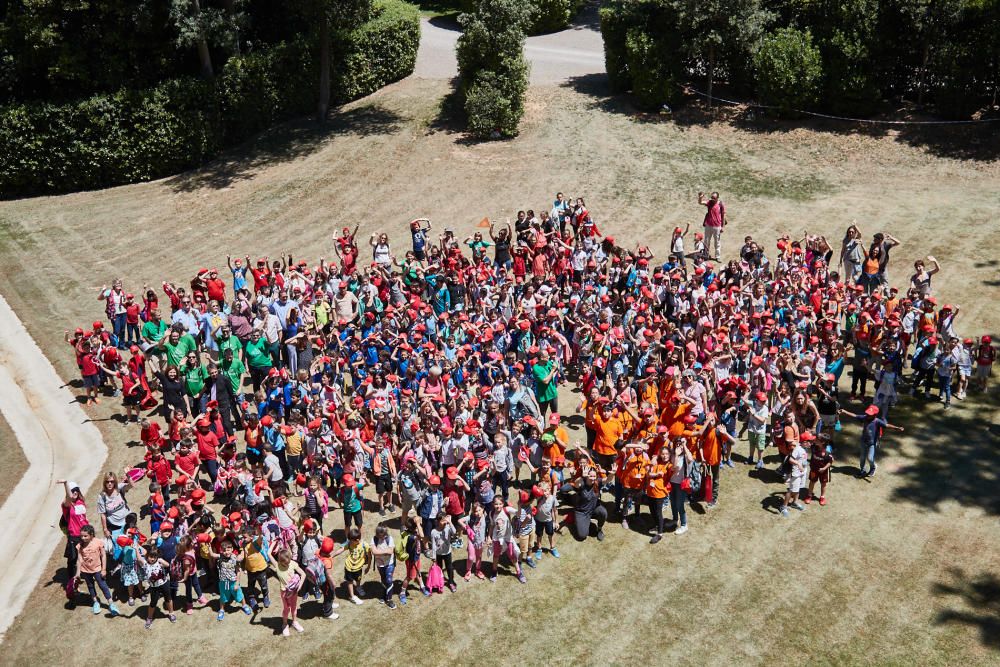 Onze escoles anellen pollets de cigonya al Castell