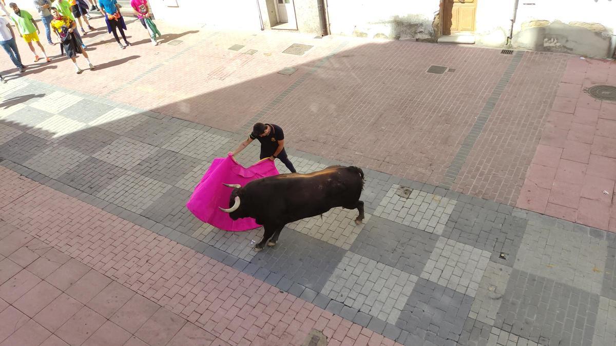 GALERÍA: El toro del cajón de La Reata, de las fiestas de Benavente, en imágenes