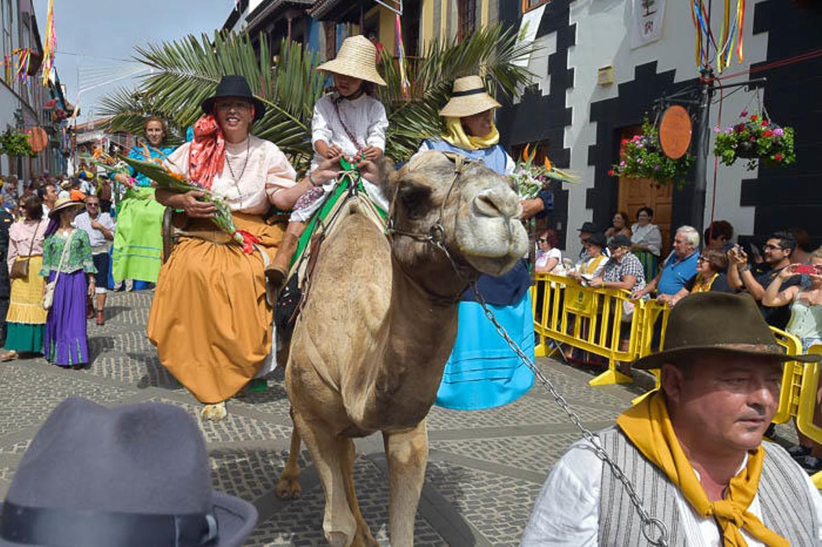 Carretas y grupos en la romería del Pino