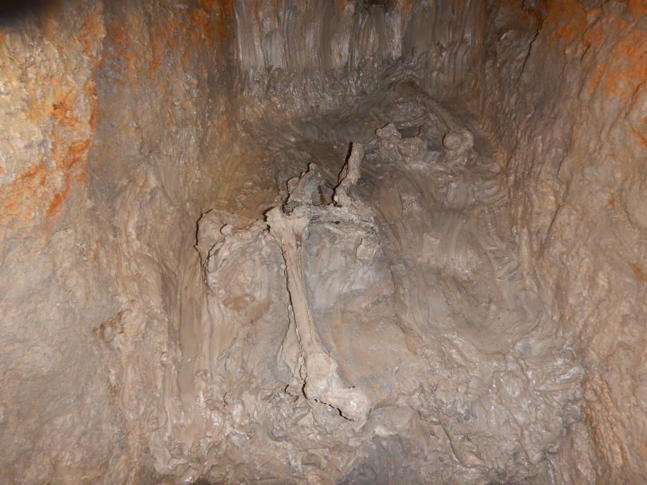 Los restos humanos siguen apareciendo en las galerías del Pozo de Tenoya