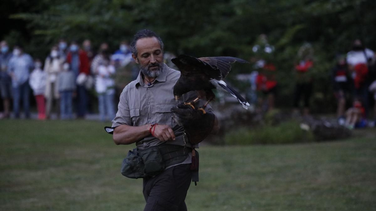 Espectáculo nocturno en el Jardín Botánico Atlántico de Gijón