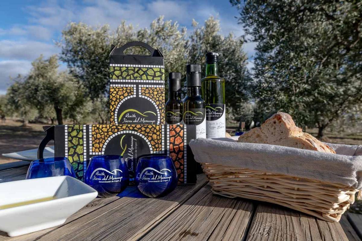 Aceite Sierra del Moncayo, el recuerdo perfecto de tu visita a Campo de Borja