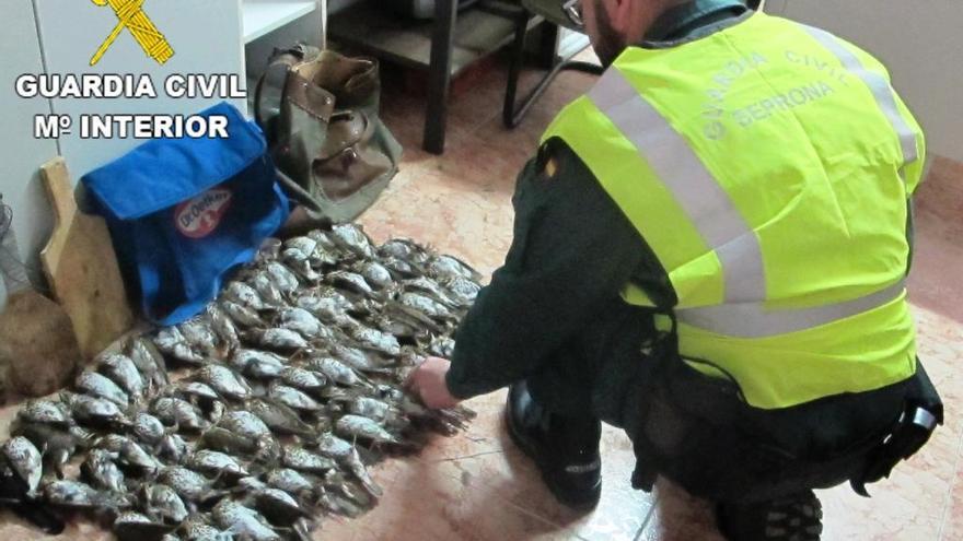 Sorprenden a dos personas con 69 ´tordets´ en Sant Jordi