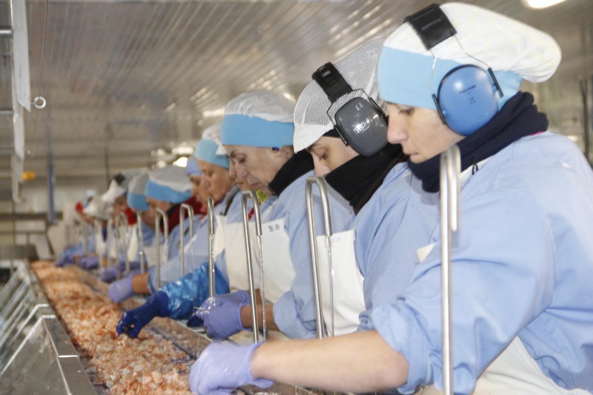 Trabajadores en la planta de la pesquera gallega Cabomar