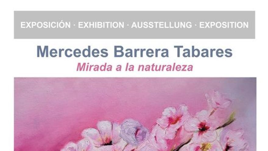Mirada a la Naturaleza