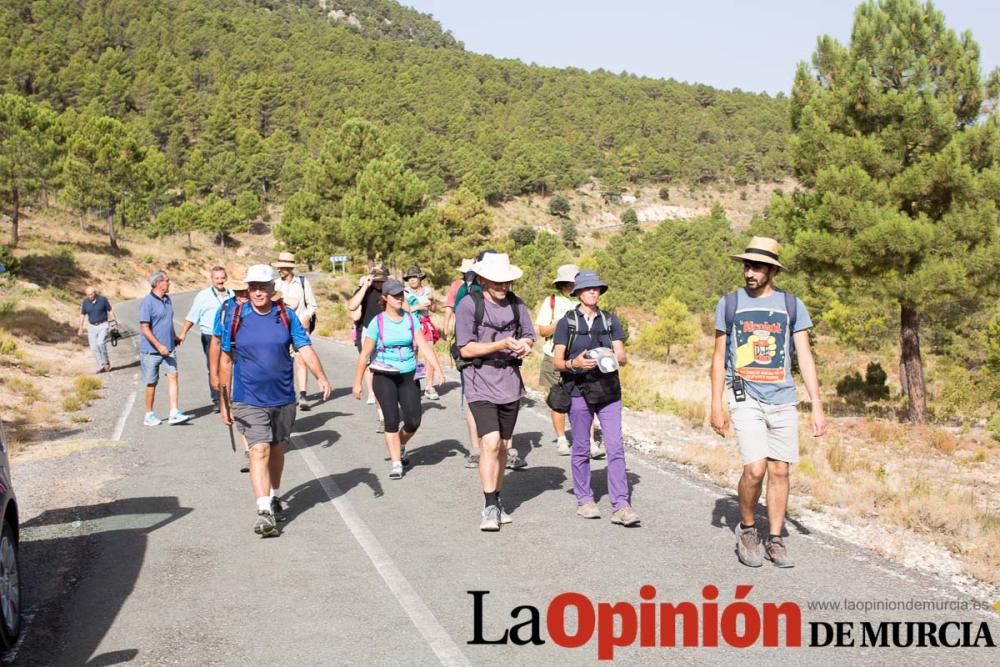 Peregrinación de Beas de Segura a Caravaca (camino