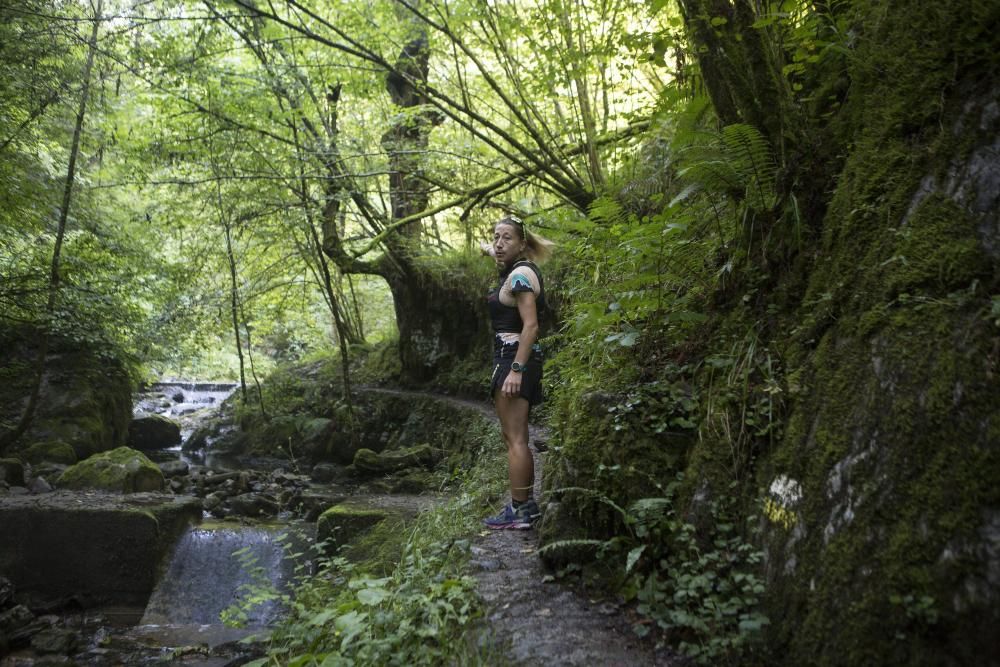 Las rutas de Asturias: las foces del río Pendón