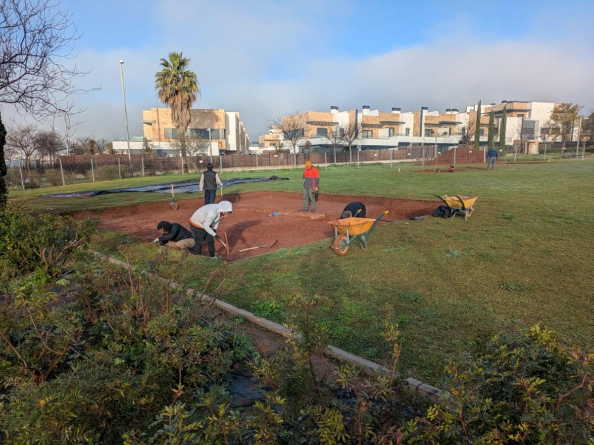 El equipo trabajando en la excavación.